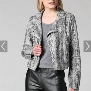 Fate NWT snakeskin print jacket size large